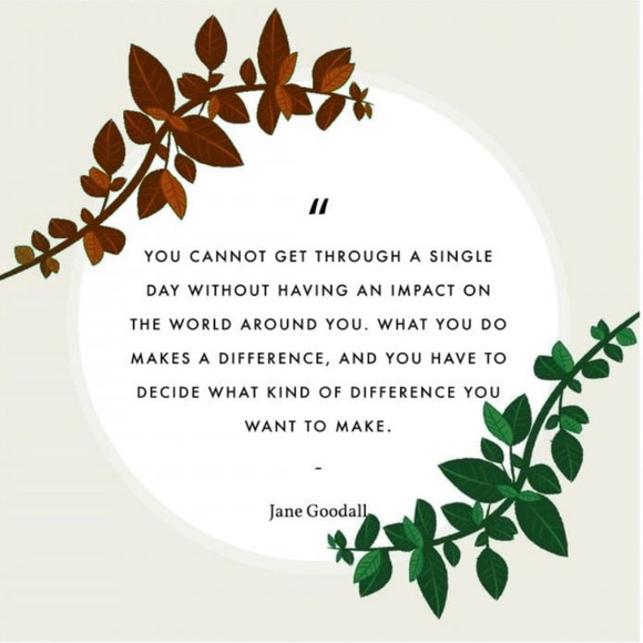 Your support is appreciate! - Picture 1 of 12